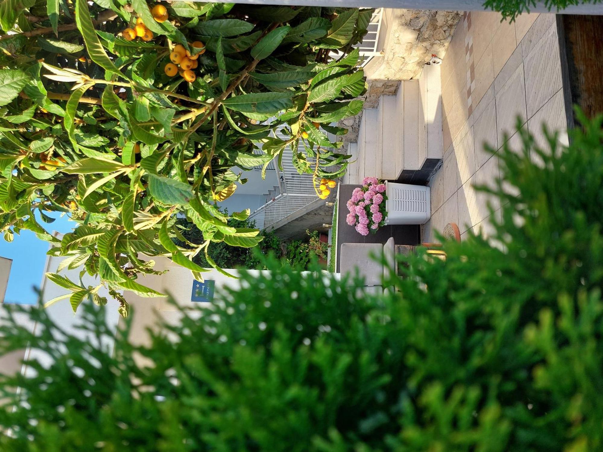 Charmy Petra With Pool Apartment Makarska