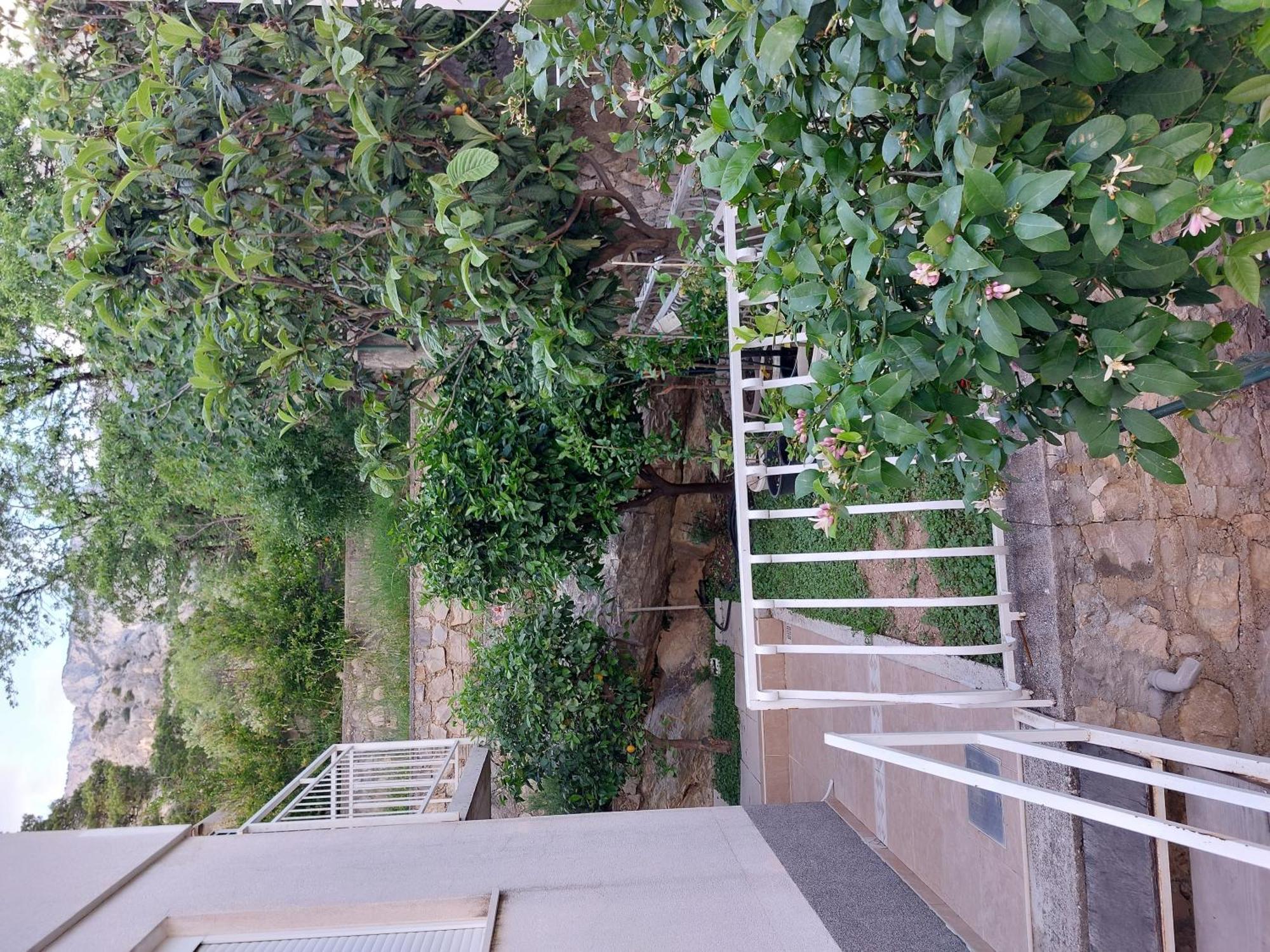 Charmy Petra With Pool Apartment *