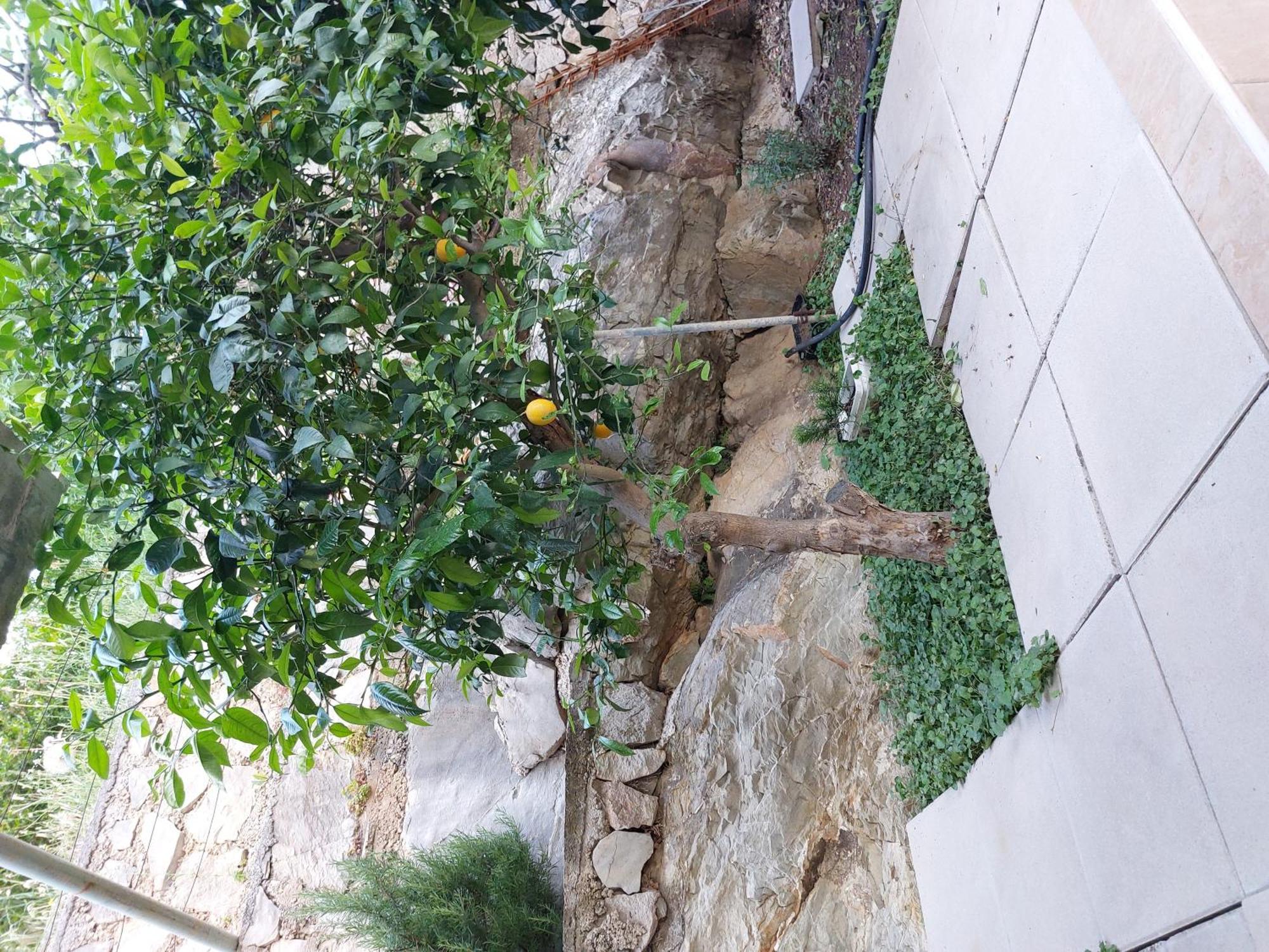 Charmy Petra With Pool Apartment Makarska